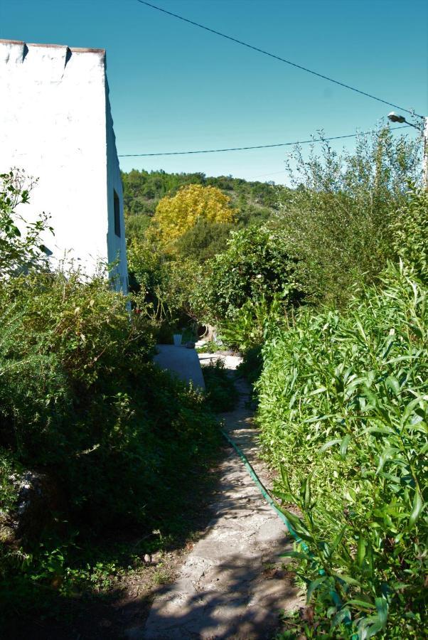 Marvão Terrafazbem 빌라 외부 사진