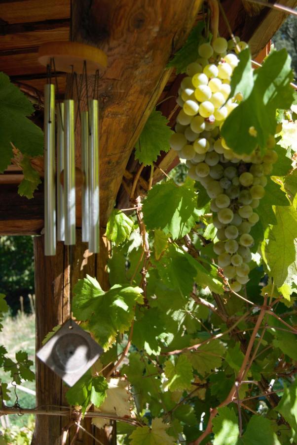Marvão Terrafazbem 빌라 외부 사진