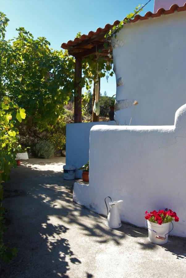 Marvão Terrafazbem 빌라 외부 사진