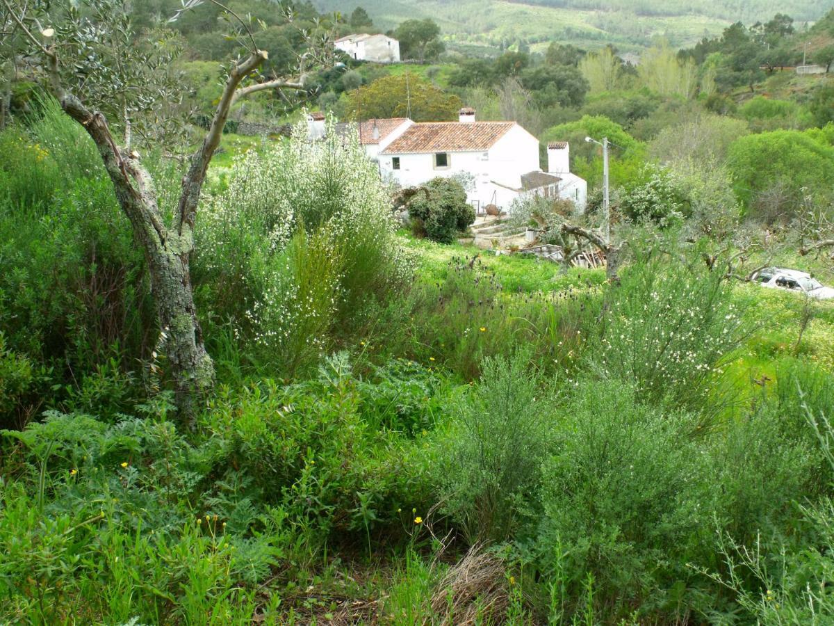 Marvão Terrafazbem 빌라 외부 사진